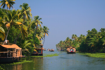 Morning Landscape from Kumarakom backwaters with coconut tree and reflection in water,Kerala