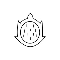 dragon fruit icon outline vector illustration. isolated on white background