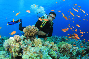 scuba diver diving on tropical reef with blue background and fish