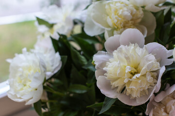 Blurred floral background. A bouquet of white peonies.