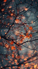 Falling leaves and bokeh lights in the woods