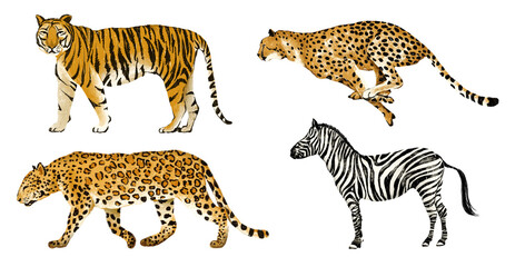 collection of big cats and other animals including leopards, jaguars, and tigers in a natural or zoo setting Hand drawn illustration on a transparent background © 7nov.studio