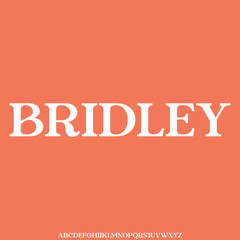 the luxury alphabet font vector typeface