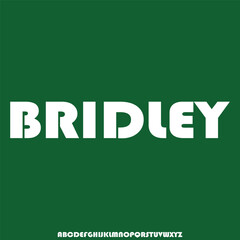 the luxury alphabet font vector typeface