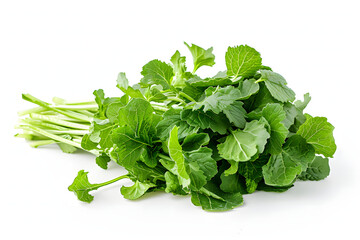 Obraz premium Whole Mustard greens vegetable on a white background