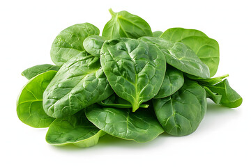 Fototapeta premium Whole Spinach vegetable on a white background