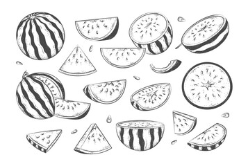 Watermelon sketch icons set. Vector cartoon collection of hand drawn ripe fruit pieces, halved and sliced, whole watermelons, rind, seed. Fresh organic fruit. Sweet desserts. Healthy vegan food
