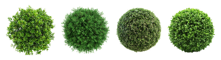 Green bush png cut out element set