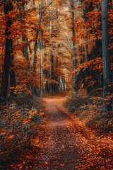 A scenic view of a winding path in the midst of a forest surrounded by lush green leaves