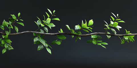 There is a branch with green leaves on a black background generative ai
