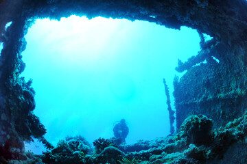wreck - shipwreck) in scuba divers' slang - a type of dive in which a descent is made to sunken...