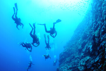 wreck - shipwreck) in scuba divers' slang - a type of dive in which a descent is made to sunken...