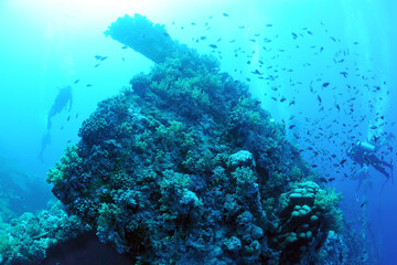 wreck - shipwreck) in scuba divers' slang - a type of dive in which a descent is made to sunken ships or objects. Often such a dive involves penetration into the overhead environment (cabins, holds of