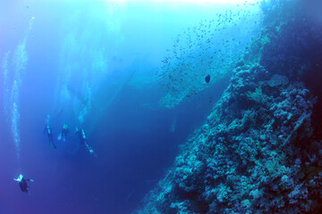 wreck - shipwreck) in scuba divers' slang - a type of dive in which a descent is made to sunken ships or objects. Often such a dive involves penetration into the overhead environment (cabins, holds of