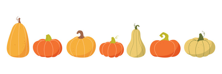 Autumn collection of pumpkins. Vegetable harvest