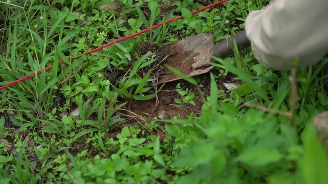 A sapper digs the ground at the edge of a red rope