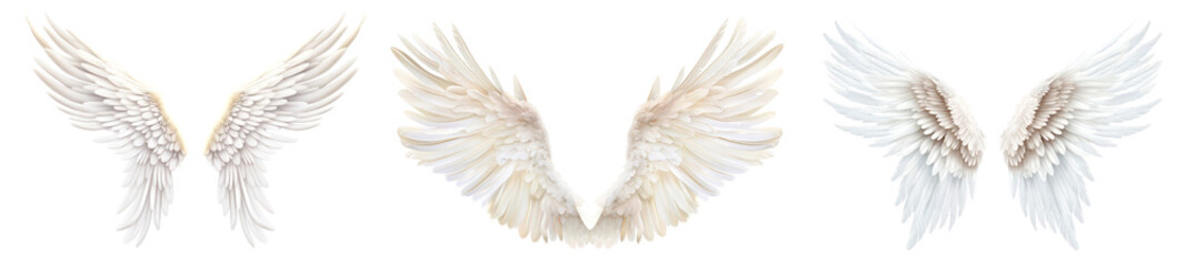 Fototapeta premium Angel wings png cut out element set
