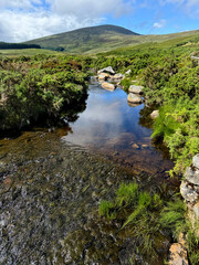View on Tonelagee hill in Wicklow mountains, Ireland