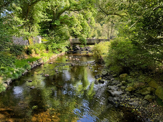 River in Glendalough, Wicklow, Ireland