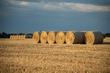 Haystacks on the field, on the sunset