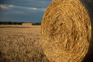 Haystacks on the field, on the sunset