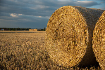 Haystacks on the field, on the sunset