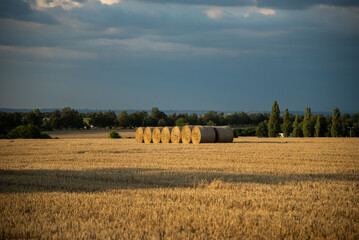 Haystacks on the field, on the sunset