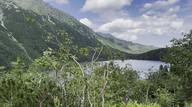 lake and mountains,  landscape forest lake in the mountains , morskie oko, tatry, carpats