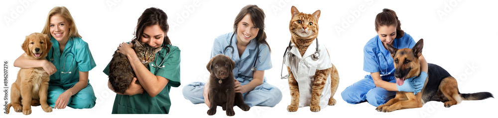 Wall mural veterinary clinic png cut out element set