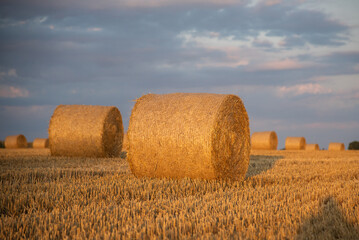 Haystacks on the field, on the sunset