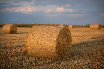 Haystacks on the field, on the sunset