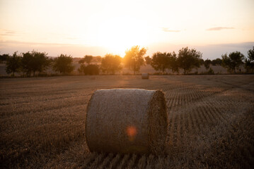 Haystacks on the field, on the sunset