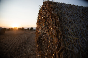 Haystacks on the field, on the sunset