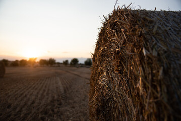 Haystacks on the field, on the sunset