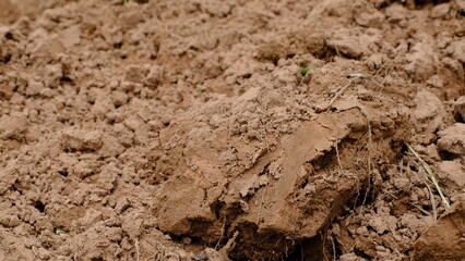 Close-up view of dry soil texture, showcasing rich earth tones and cracked surface, ideal for agricultural themes and environmental projects.
