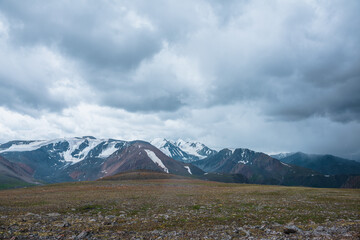 Fototapeta premium Dramatic view from stony pass with mosses, grasses and flowers to large mountain range with snow-capped pinnacle in gray cloudy sky. Atmospheric silhouettes of big snowy mountains in rainy weather.