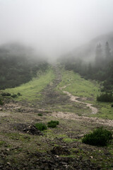 misty morning in Reintal in the Bavarian Alps