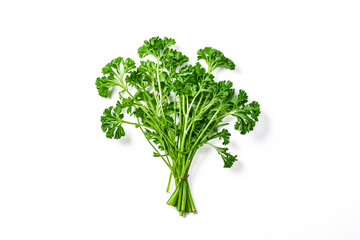Fototapeta premium Fresh Parsley Sprigs on White Background