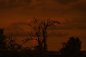 wild and beautiful nature around us