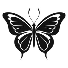 butterfly illustration