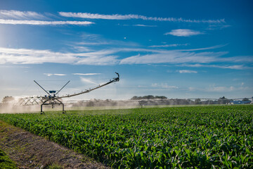 Crop irrigation. Agriculture and farming. Irrigation system watering agricultural field in countryside farm. Organic vegetable farm. Water sprinkler irrigating field. Drip irrigation system