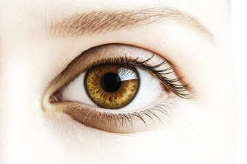 Fototapeta premium Close up of a brown eye with long eyelashes