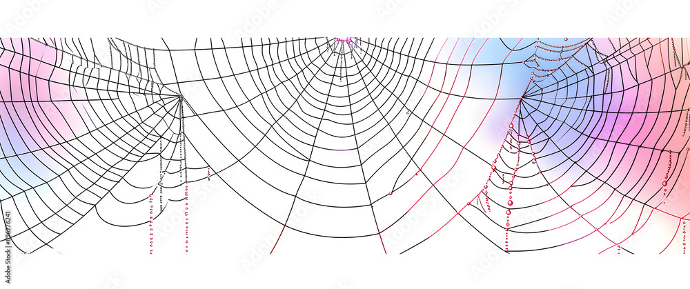Canvas Prints spider web line art vector