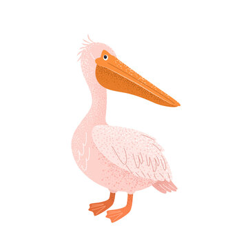recommend clip art: Cute cartoon pelican for childish prints. Textured hand drawn clip art isolated on a white background. A funny bird for kids. Vector illustration.