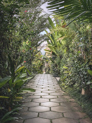 Street of Ubud village in Bali