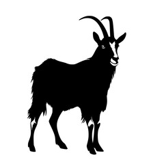 Goat Vector