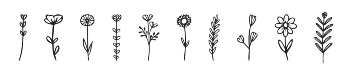 Set of hand drawn ink outlined wildflower vectors
