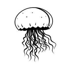 Jellyfish Vector