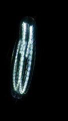 Futuristic Story Overlay Background Neon Glow Sci-Fi Hochformat