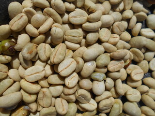 Coffee beans background